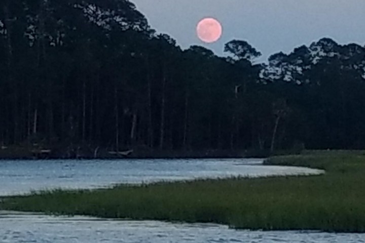 the full moon on the harbor