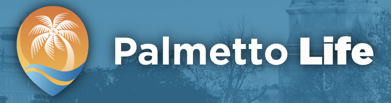 Logo with palm tree and waves icon next to 'Palmetto Life' text.