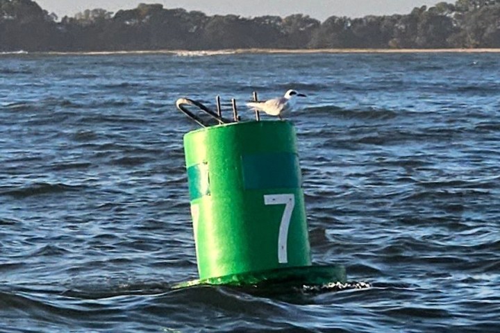 a small boat in a body of water