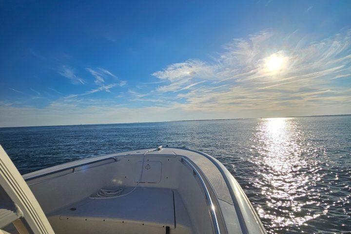 a bridge over a body of water