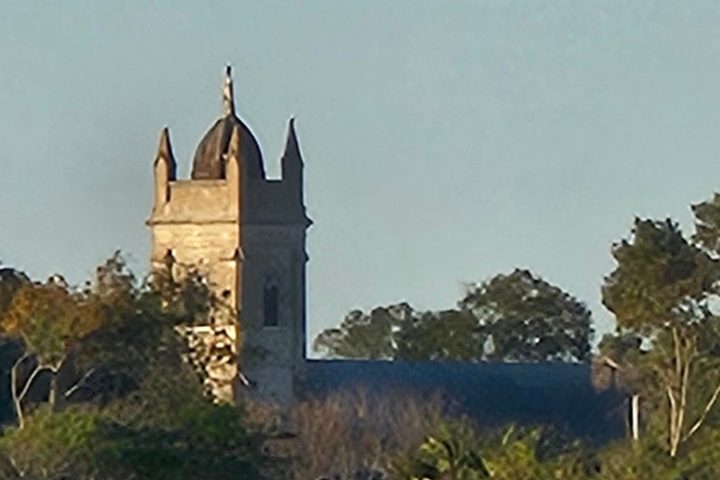 a flock of seagulls are standing in front of a castle