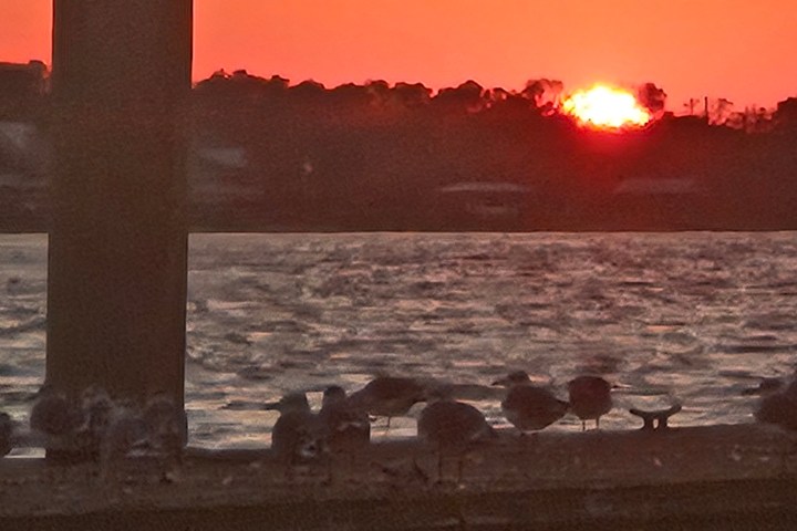 a sunset over a body of water