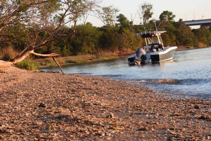 Boat approaching a pebbly shore with trees in the background.