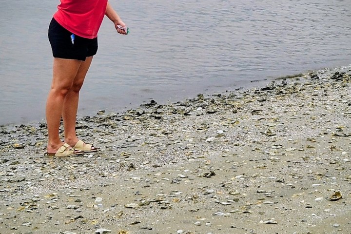 A woman in red shirt looking for shark teeth at the beach in Charleston, SC.