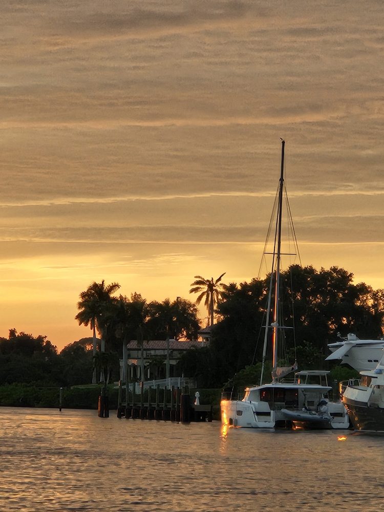 Sunset over a marina with palm trees and boats reflected in the water.