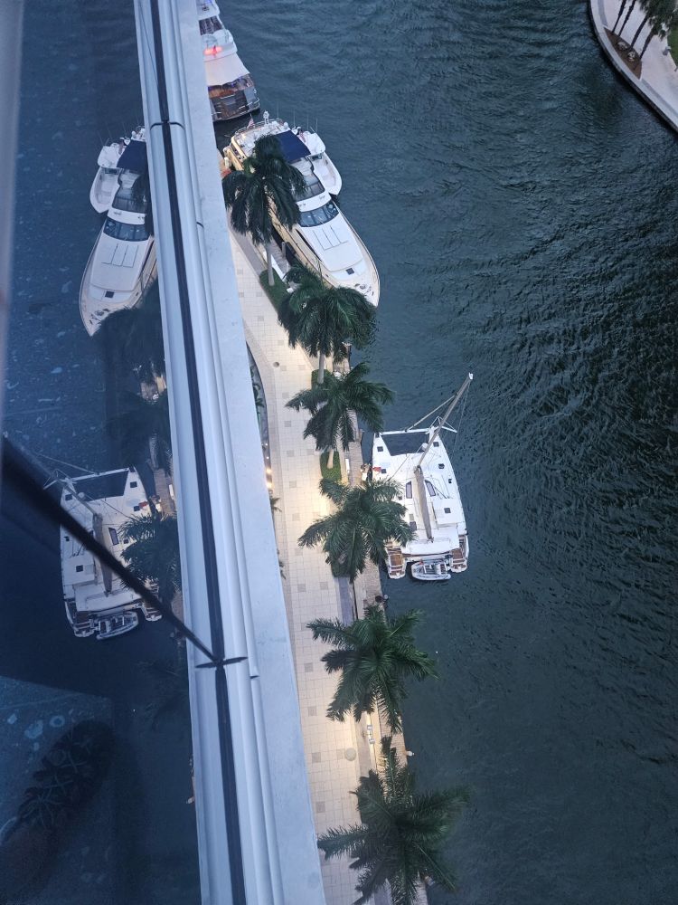 View from high above of yachts next to a riverside walkway lined with palm trees.