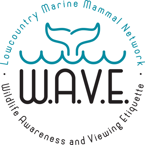Circular logo with whale tail above waves. Text: 'W.A.V.E.' and 'Lowcountry Marine Mammal Network'.