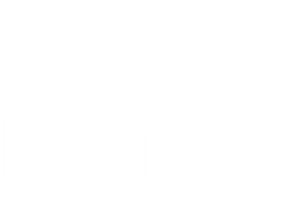 Logo with whale tail, waves, 'LMMN' and 'lowcountry marine mammal network' text.