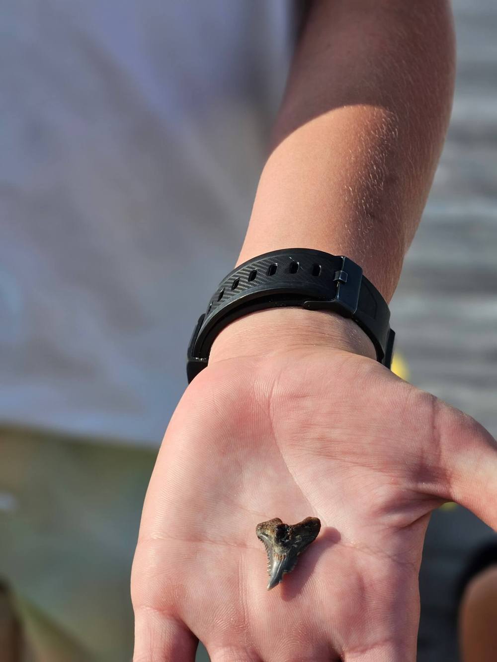 Hand holding a small shark tooth, black wristwatch visible.