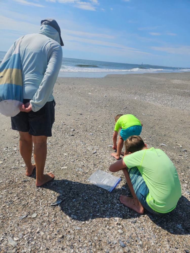 Three people searching for shells on a sunny beach.