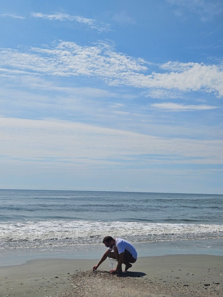 Person crouching on a beach collecting shells under a blue sky.